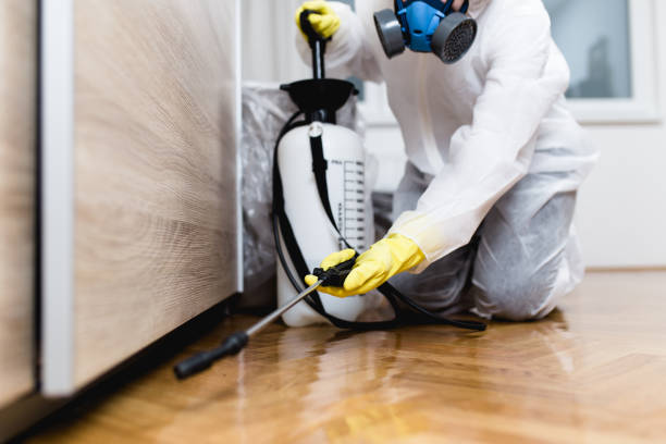 Best Bed Bug Extermination  in Naples, UT