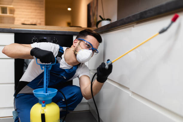 Best Rat Extermination Near Me  in Naples, UT