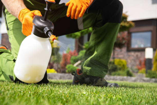 Best Ant Control Services  in Naples, UT