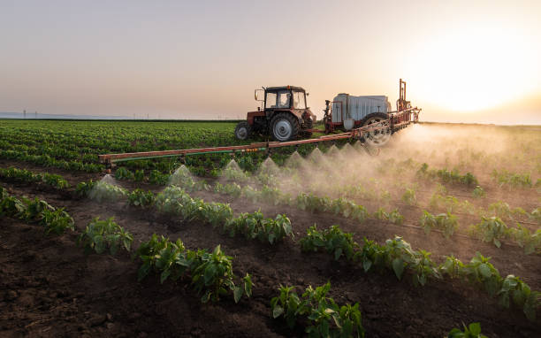 Best Pest Removal Services  in Naples, UT