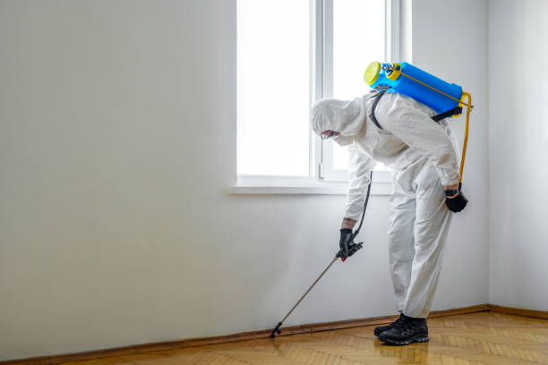 Best Pest Prevention Services  in Naples, UT