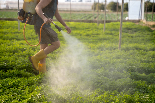 Best Best Pest Control Companies  in Naples, UT