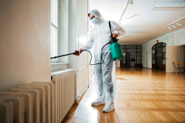 Best Affordable Pest Control Services  in Naples, UT