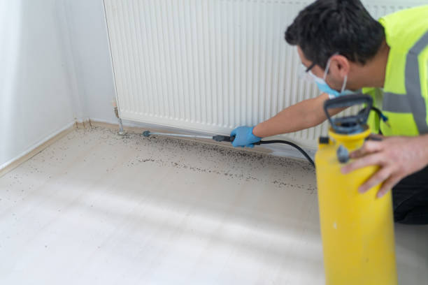 Best Pest Inspection Near Me  in Naples, UT