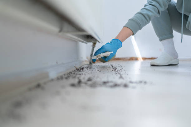 Best Best Pest Control Companies  in Naples, UT